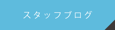 スタッフブログ